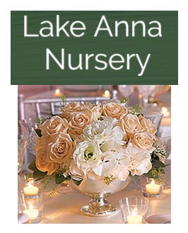 Lake Anna Nursery